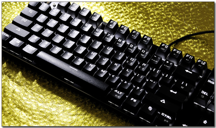 노트포럼 리뷰 키스위치 교체 지원 기계식 키보드 제닉스 Stormx Titan Mark V Black Edition